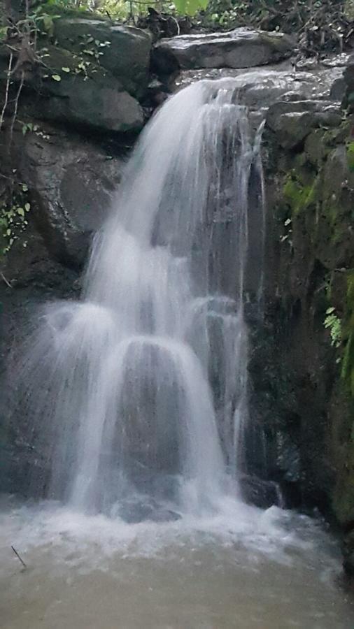 Cherilyn Monta Resort - Ratnagiri Vatul Екстер'єр фото